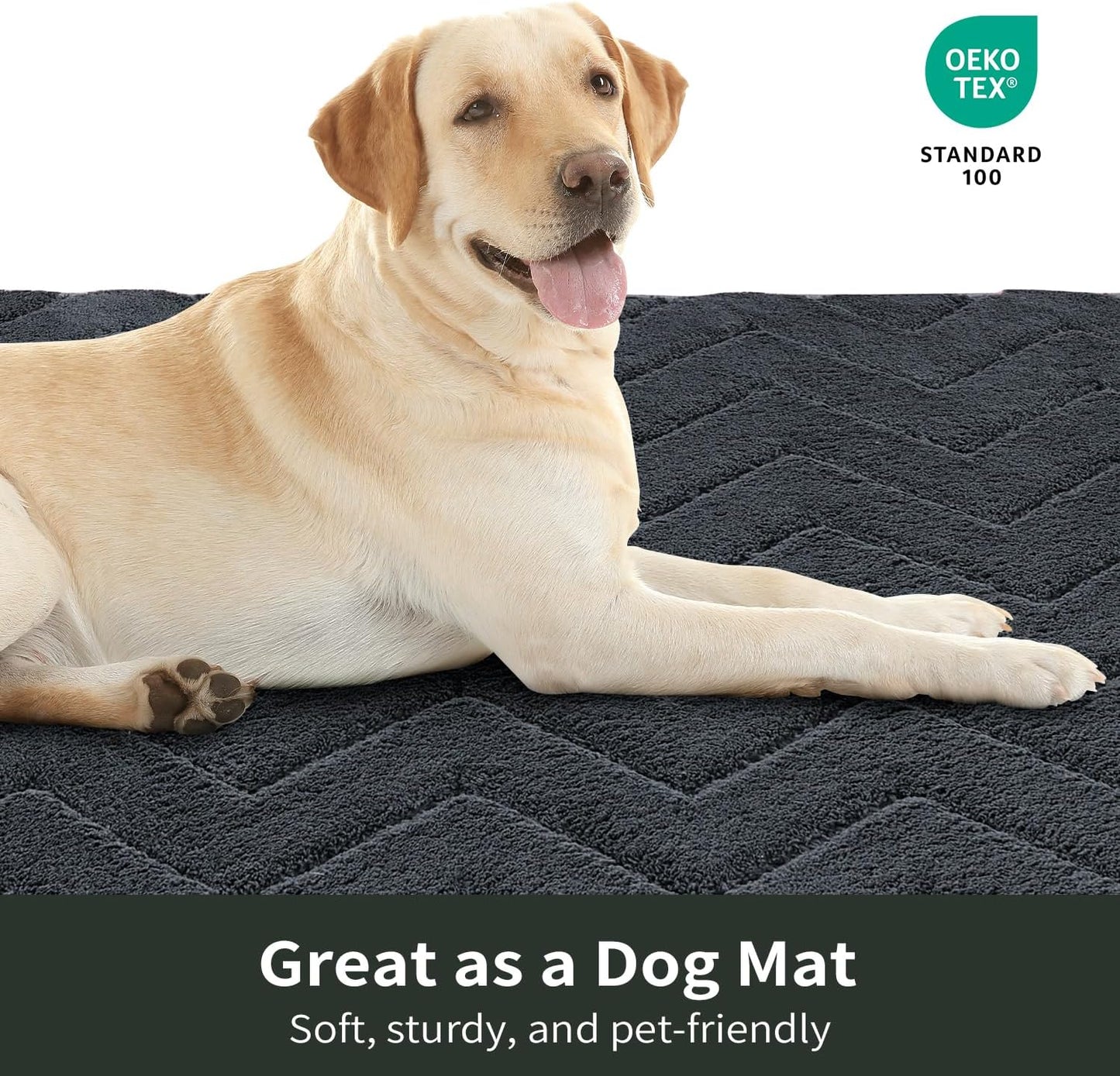 Stiio Front Door Mat Indoor Outdoor Entrance 20x31.5 Inches, Non Slip Washable Entry Rug, Dog Doormat, Absorbent Entrance Mat for Front & Back Door, Muddy Wet Shoes & Paws, Dark Grey