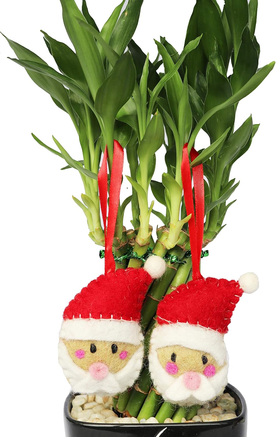 Christmas Ornaments 100% Pure New Zealand Wool Handmade Eco Friendly Christmas Decor Shower Nursery Decoration Fair Trade (4, Santa Claus)