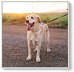 NWT Custom Framed Canvas Prints with Your Photo for Pets, Personalized Canvas Wall Art for Living Room, Bedroom - 16x16 inches