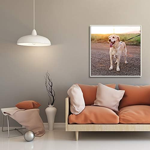 NWT Custom Framed Canvas Prints with Your Photo for Pets, Personalized Canvas Wall Art for Living Room, Bedroom - 16x16 inches