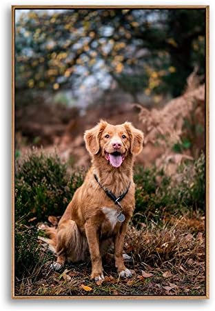 NWT Custom Framed Canvas Prints with Your Photo for Pets, Personalized Canvas Wall Art for Living Room, Bedroom - 24x36 inches