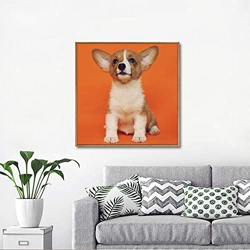 NWT Custom Framed Canvas Prints with Your Photo for Pets, Personalized Canvas Wall Art for Living Room, Bedroom - 24x24 inches