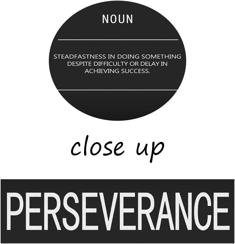 Motivational Painting Office Decor Inspirational Canvas Wall Art Perseverance Noun Pictures Inspirational Success Posters and Prints Artwork Home Gym Decor Framed Ready to Hang[30" W X 40" H]