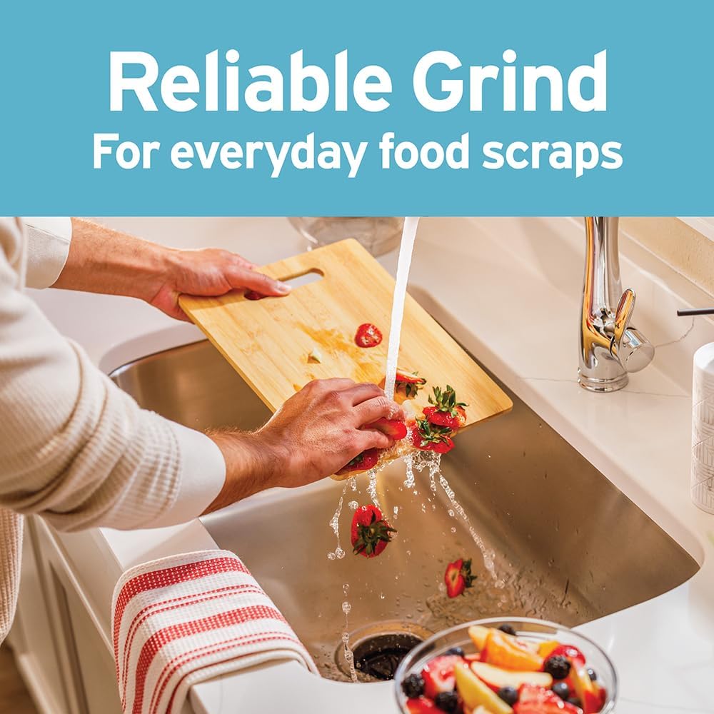 InSinkErator ES30 W/C 1/3 HP Motor Continuous Feed Kitchen Garbage Disposal with Power Cord