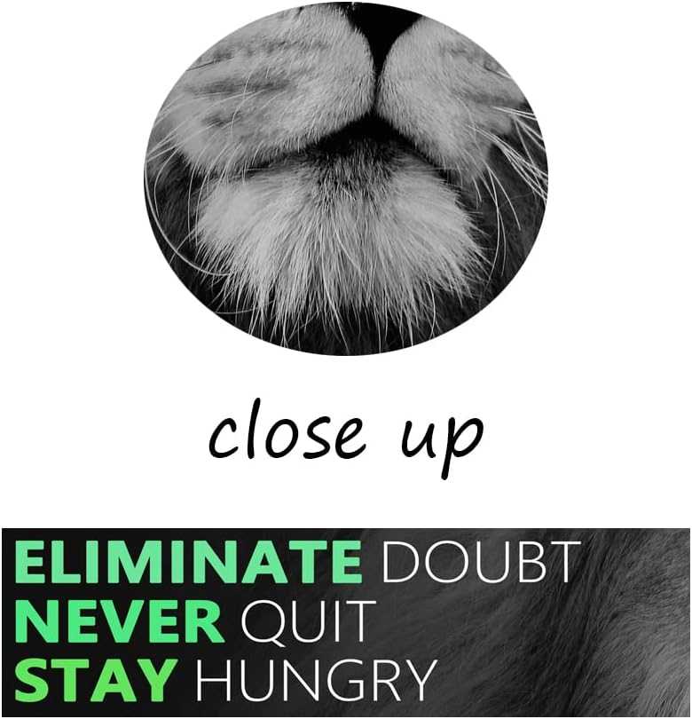 Motivational Canvas Wall Art Lion Inspirational Poster Animal Inspiring Canvas Prints Artwork for Office Living Room Modern Home Decor Painting Stretched and Framed Ready to Hang [24''Wx 18''H]