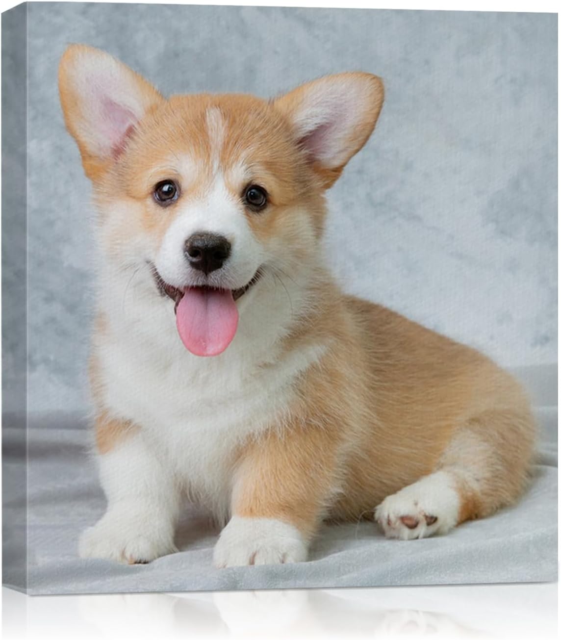 AbcCustomize Canvas Prints with Your Photos, Custom Canvas for Living Room and Bedroom Decor, Personalized gifts for Friends Lover and Family, Canvas Wall Art for Gifts & Keepsakes, Ready to Hang