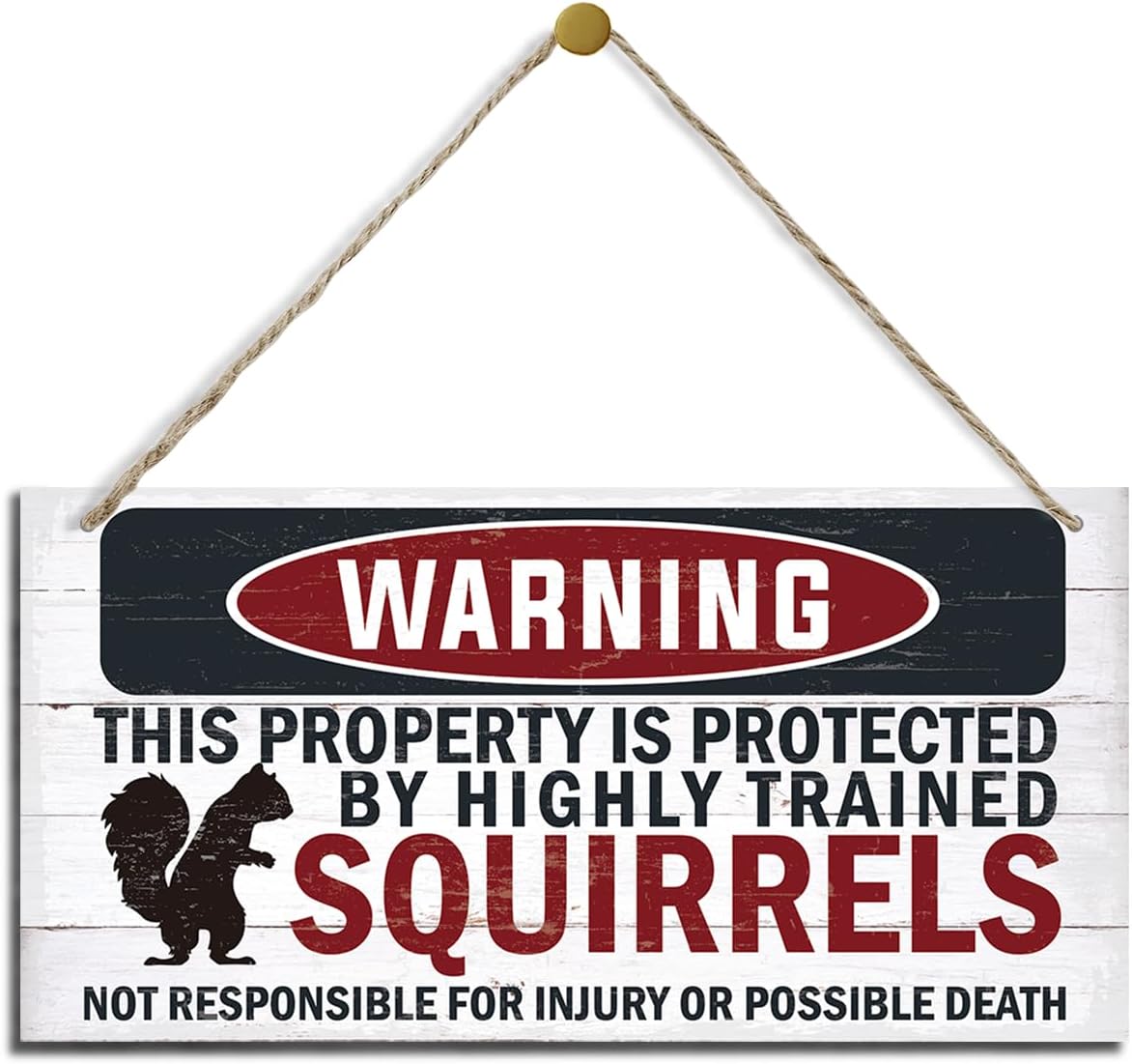 Warning Signs, The Property is Protected By Highly Trained Squirrels Sign, Decorative Wood Hanging Wood Plaque, Funny Warning Decor, Door Gate Hanger, Cute and Funny Garden Decor, Yard Decor