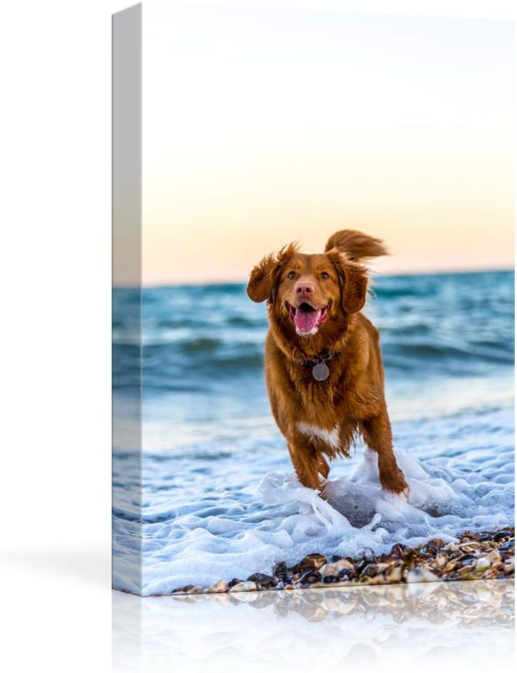 NWT Custom Canvas Prints with Your Photos for Pet/Animal, Personalized Canvas Pictures for Wall to Print Framed 48x32 inches