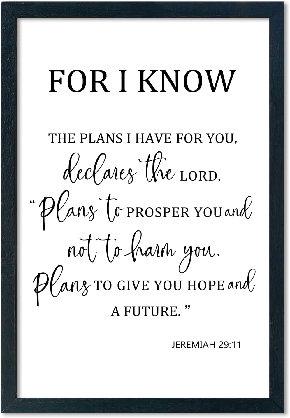 LuZhiQiang Jeremiah 29 11 Wall Art 16"×11" For I Know The Plans I Have for You Sign Wood Framed Wall Decor Hanging (Black)