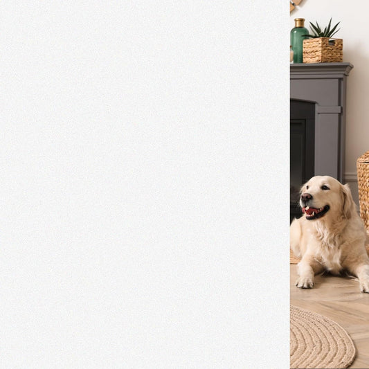 HIDBEA Frosted Window Privacy Film - Non Adhesive Static Cling Glass Stickers Sun UV Blocking Heat Control Door Covering Decals for Home Office, Frosted White, 23.6 x 157.5 Inch