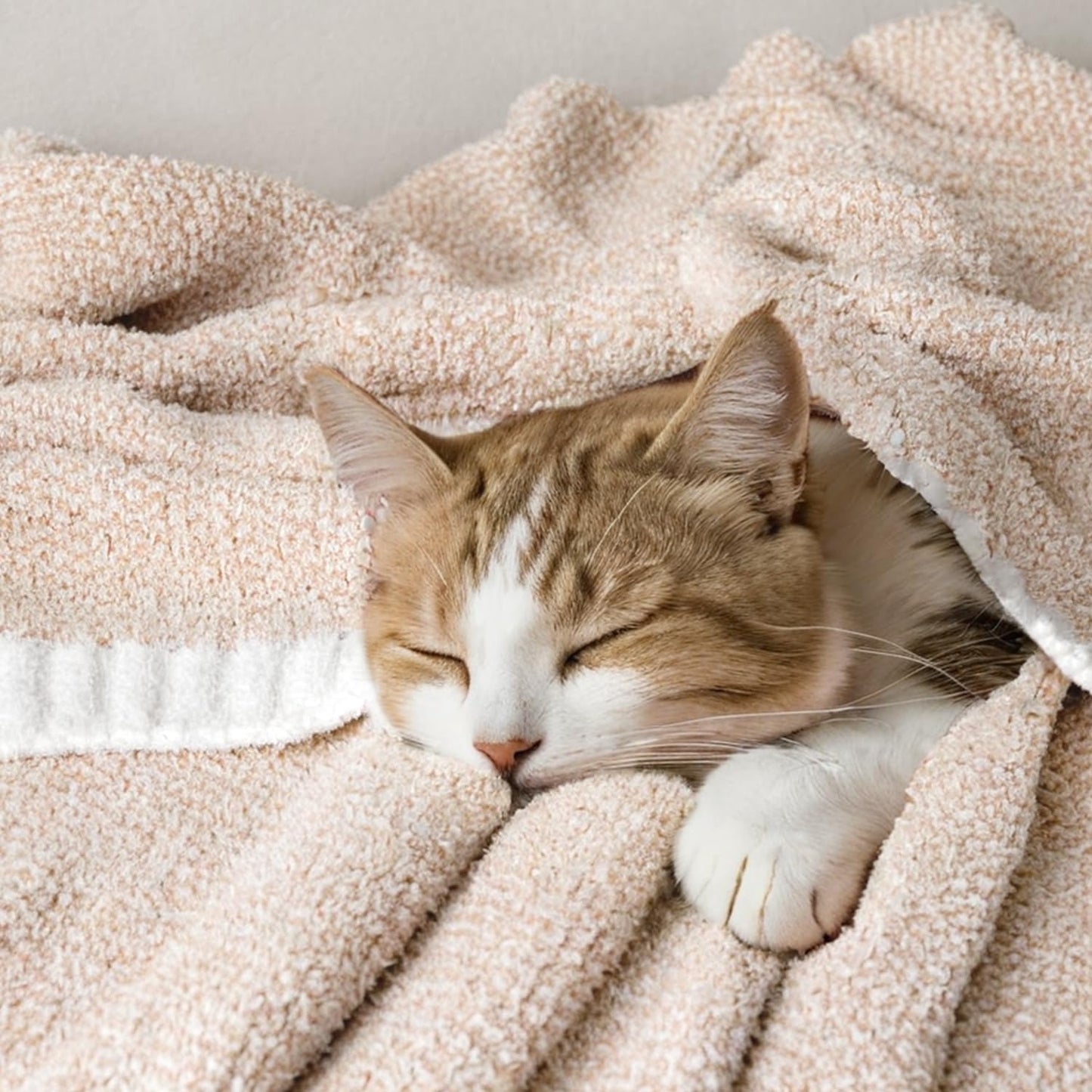 MIULEE Beige Super Soft Throw Blanket for Couch, Cozy Fluffy Warm Throws Knit Blankets for Sofa, Bed, Chair, Living Room, Camping, Picnic, 50 x 60 inch