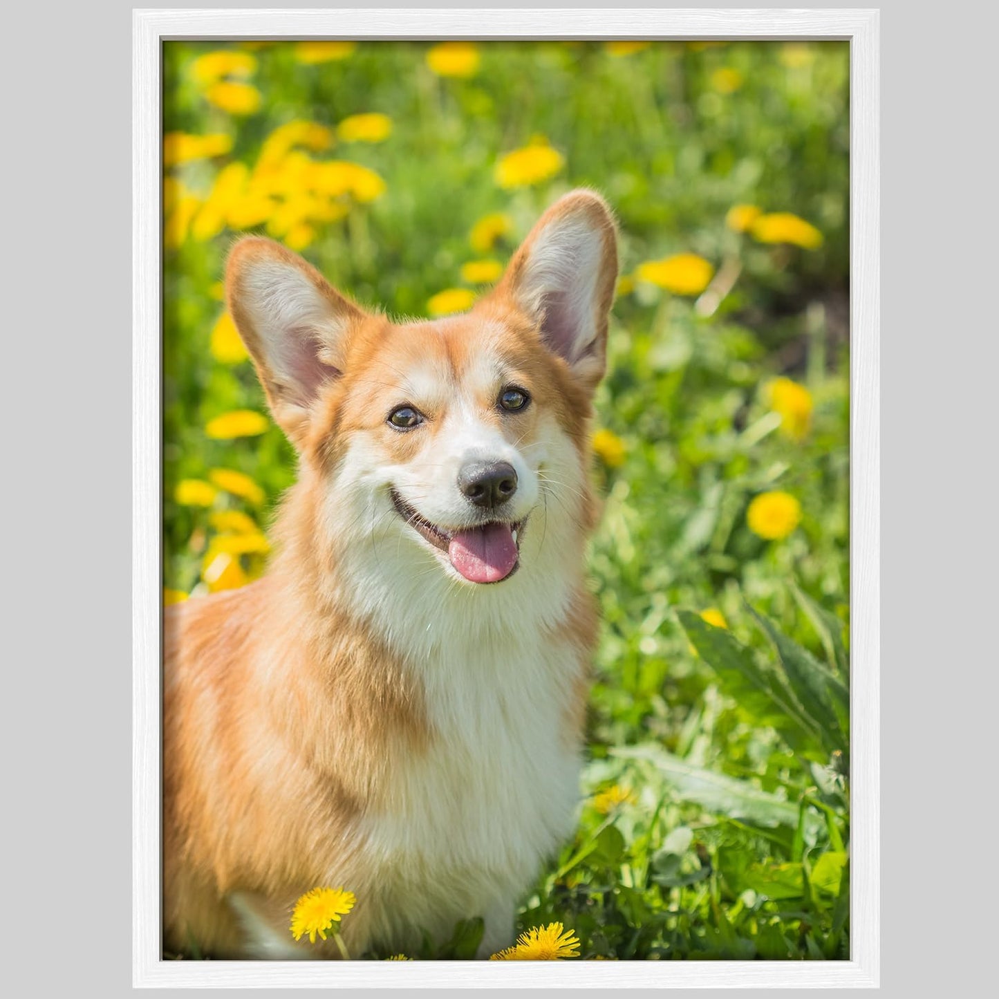 NWT Custom Framed Poster Prints with Your Any Photos, Personalized Canvas Pictures for Wall to Print Framed - 12"x16" White