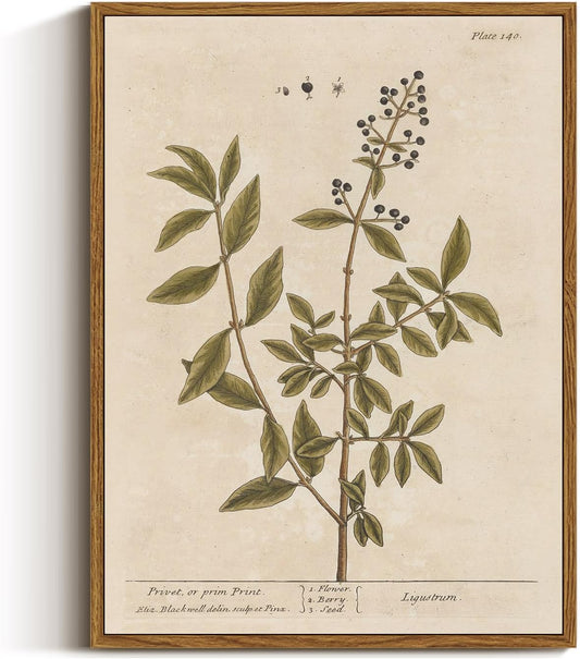 VIYYIEA Framed Canvas Wall Art Home Decor Boho Plant Wall Decor Minimalist Botanical Print Canvas Wall Art Pictures for Rustic Vintage Farmhouse Home Kitchen Room Decor 12x16in