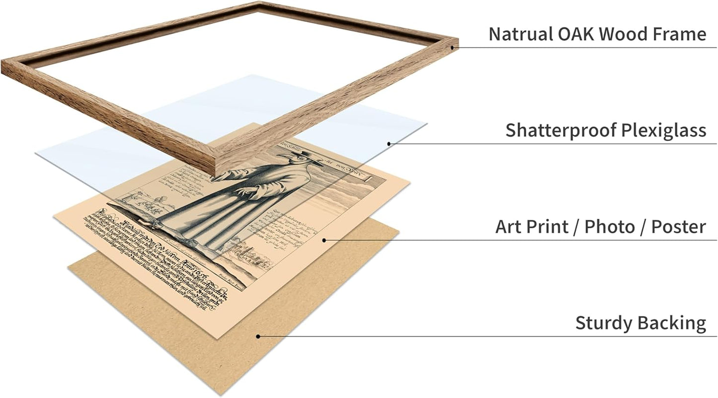 Poster Master Vintage Medieval Poster - Retro Illustration Print - Gift for Friend - Plague Doctor, Pandemic Mask, Physician, Black Death - Wall Decor for Home, Living Room, 16x20 Beige Framed