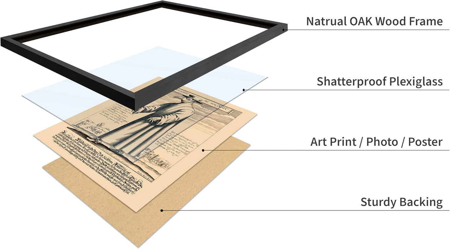 Poster Master Vintage Medieval Poster - Retro Illustration Print - Gift for Friend - Plague Doctor, Pandemic Mask, Physician, Black Death - Wall Decor for Home, Living Room, 11x14 Black Framed