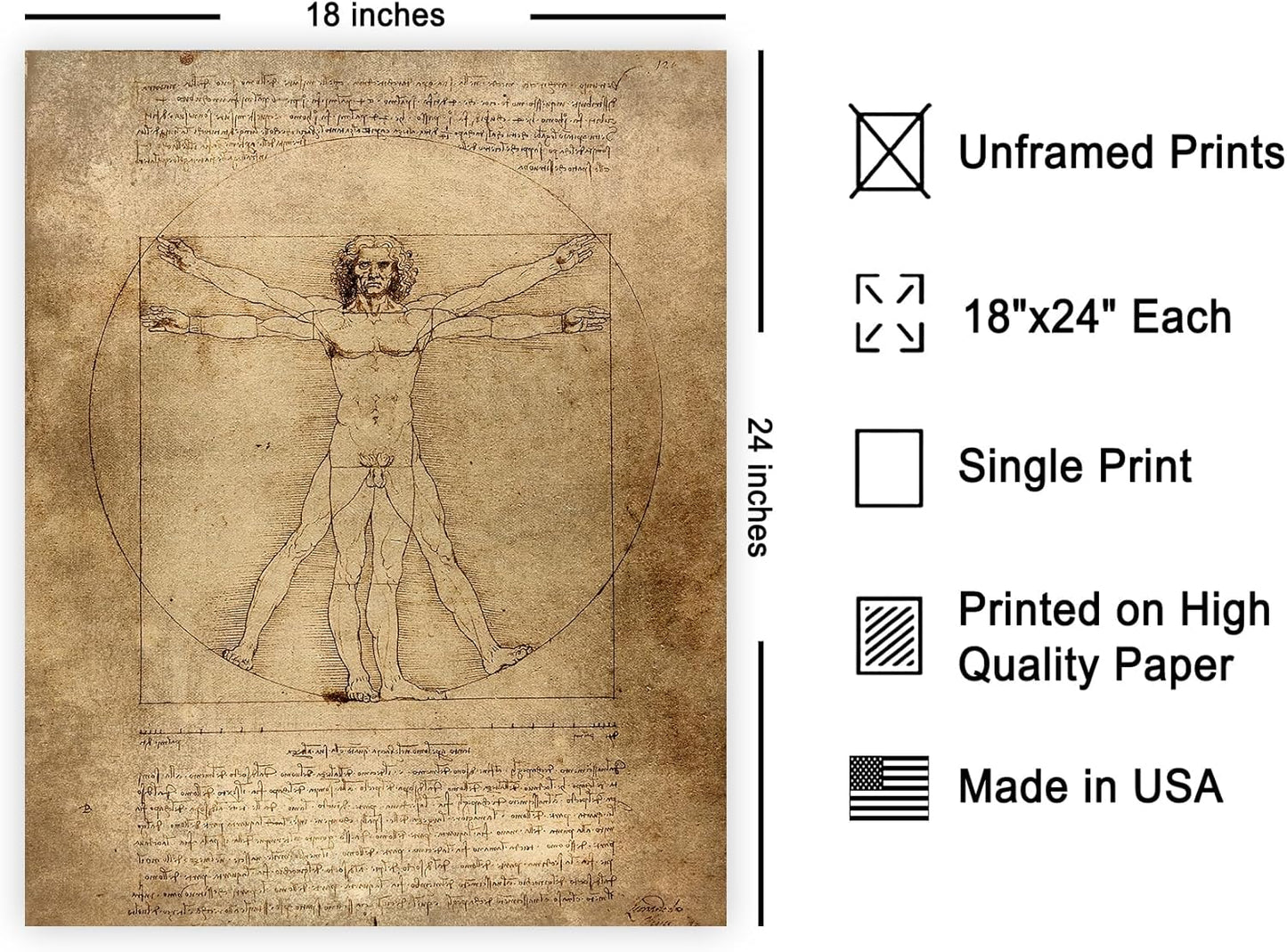 Poster Master Classic Leonardo Da Vinci Poster - Vintage Renaissance Print - Gift for Artist, Friend - Vitruvian Man, Proportion, Symmetry, Human Body - Wall Decor for Office, 18x24 Unframed Wall Art