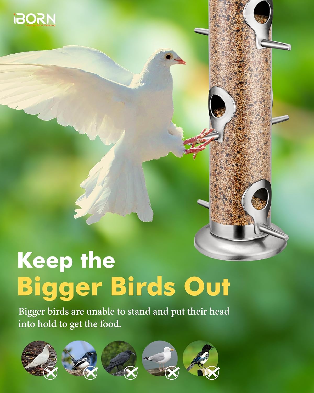 iBorn Metal Bird Feeders 6 Ports Hanging Wild Bird Seed Feeder for Mix Seed Blends, Niger Seed Feeder, Sunflower Heart, Birdbath, Heavy Duty All Metal Nickle Finishing 14 Inch 6Port