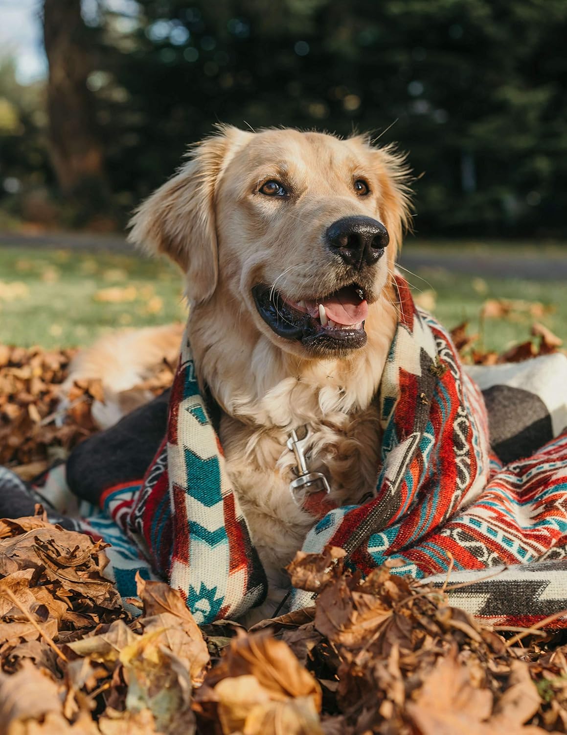 Inca Aztec Throw, Queen, King Blanket | Southwest Indian Navajo Boho Style | Native Cover for Camping, Bedding, Couch, Vanlife | Faux Alpaca, Lightweight, Hypoallergenic (Pachamama Brown, Throw)