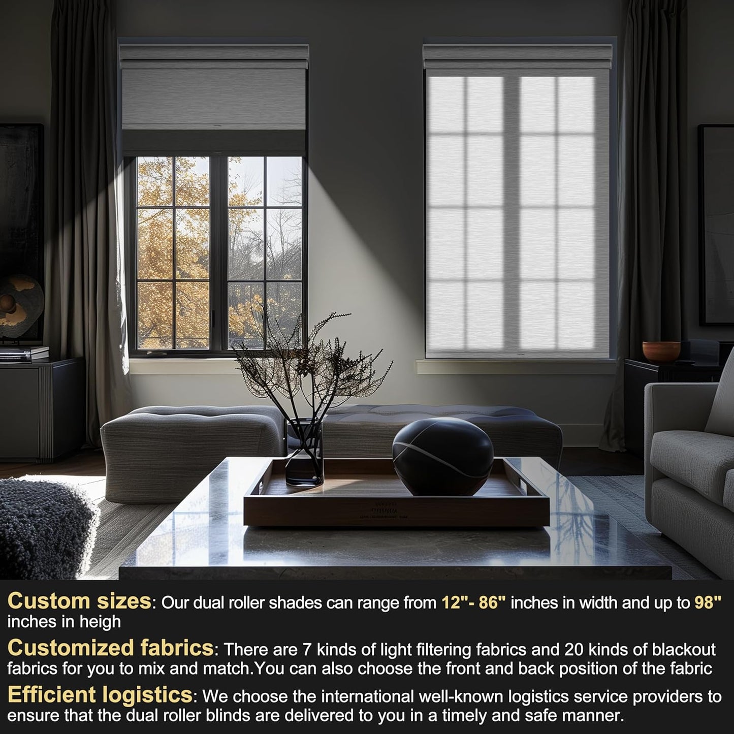 BERISSA Cordless Dual Roller Shades with Cassette Valance, Double Window Shades Blackout and Light Filtering, Day and Night for Home Office Door, Grey and White. 46 W x 64" H