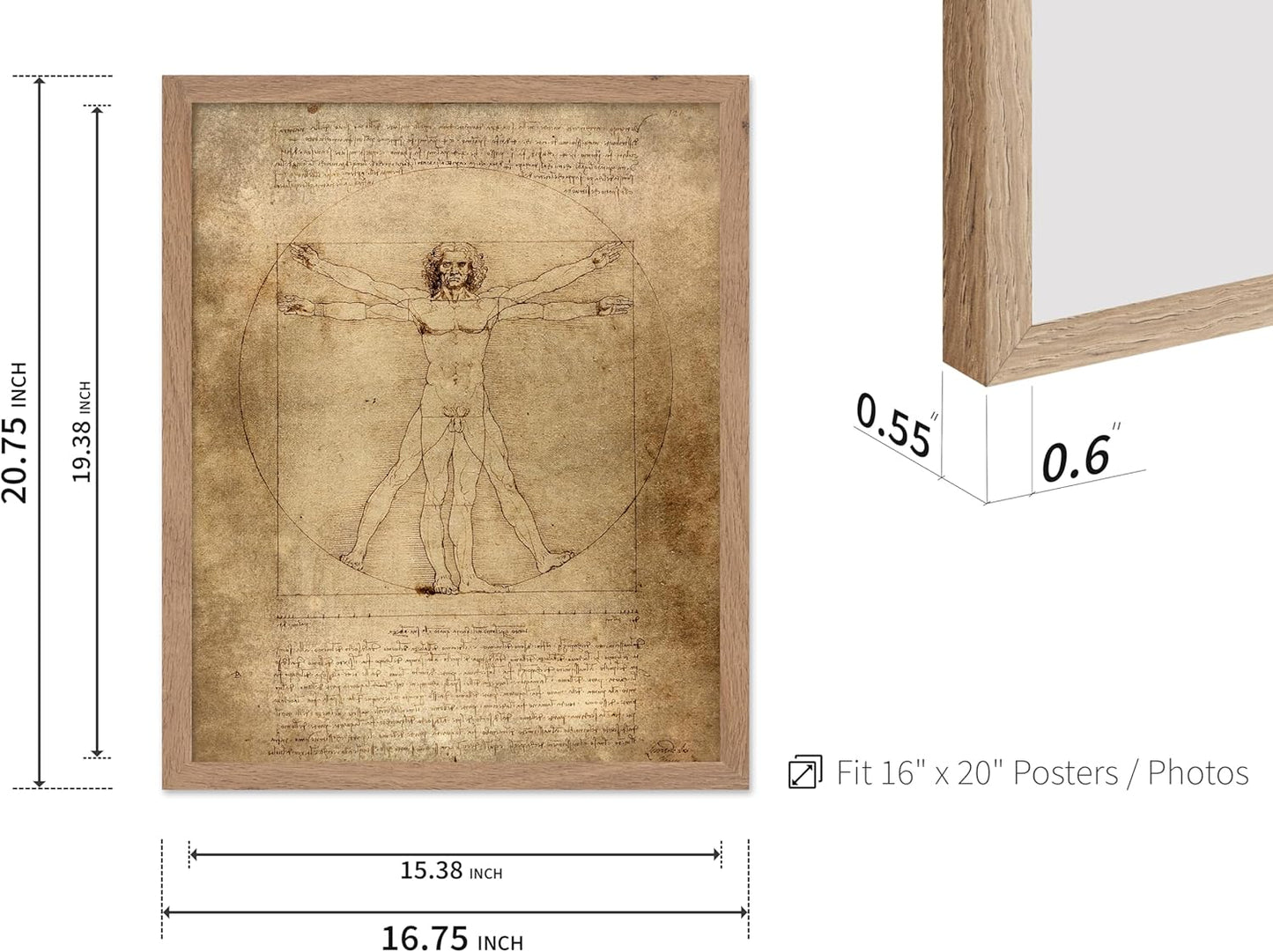 Poster Master Classic Leonardo Da Vinci Poster - Vintage Renaissance Print - Gift for Artist, Friend - Vitruvian Man, Proportion, Symmetry, Human Body - Wall Decor for Office, 16x20 Beige Framed
