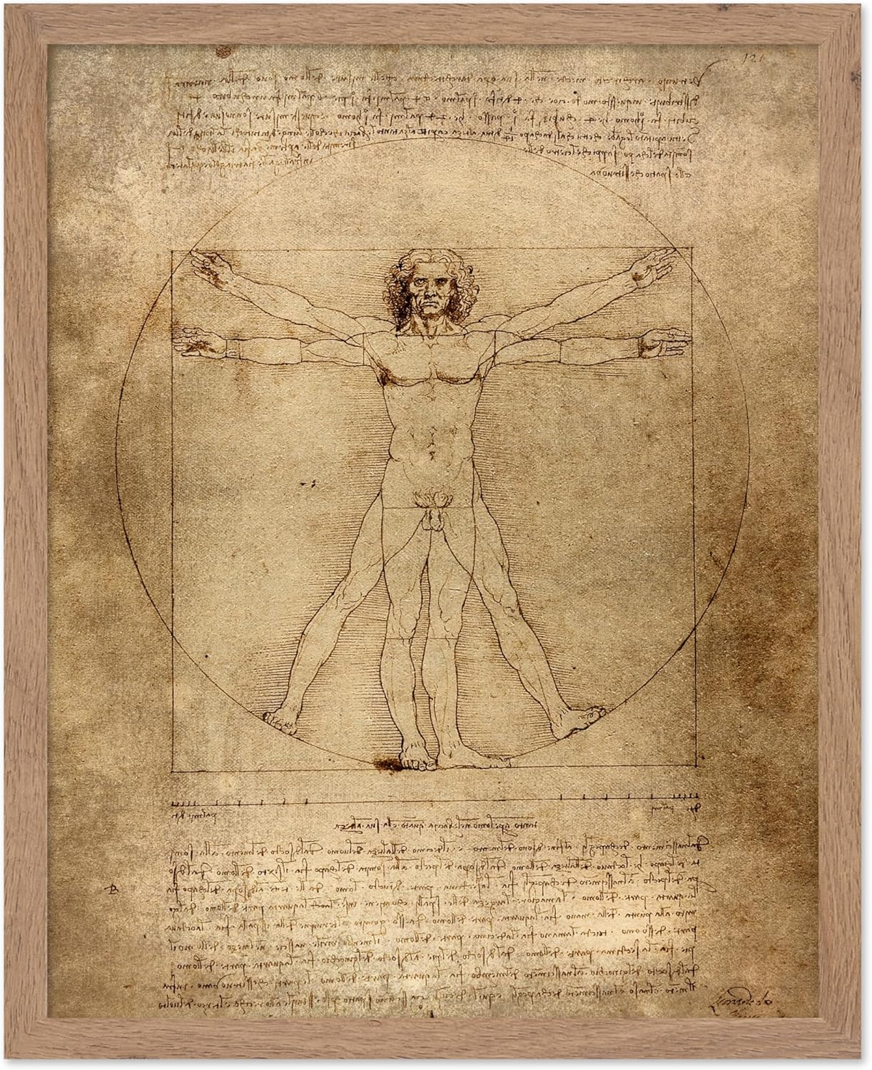 Poster Master Classic Leonardo Da Vinci Poster - Vintage Renaissance Print - Gift for Artist, Friend - Vitruvian Man, Proportion, Symmetry, Human Body - Wall Decor for Office, 8x10 Beige Framed