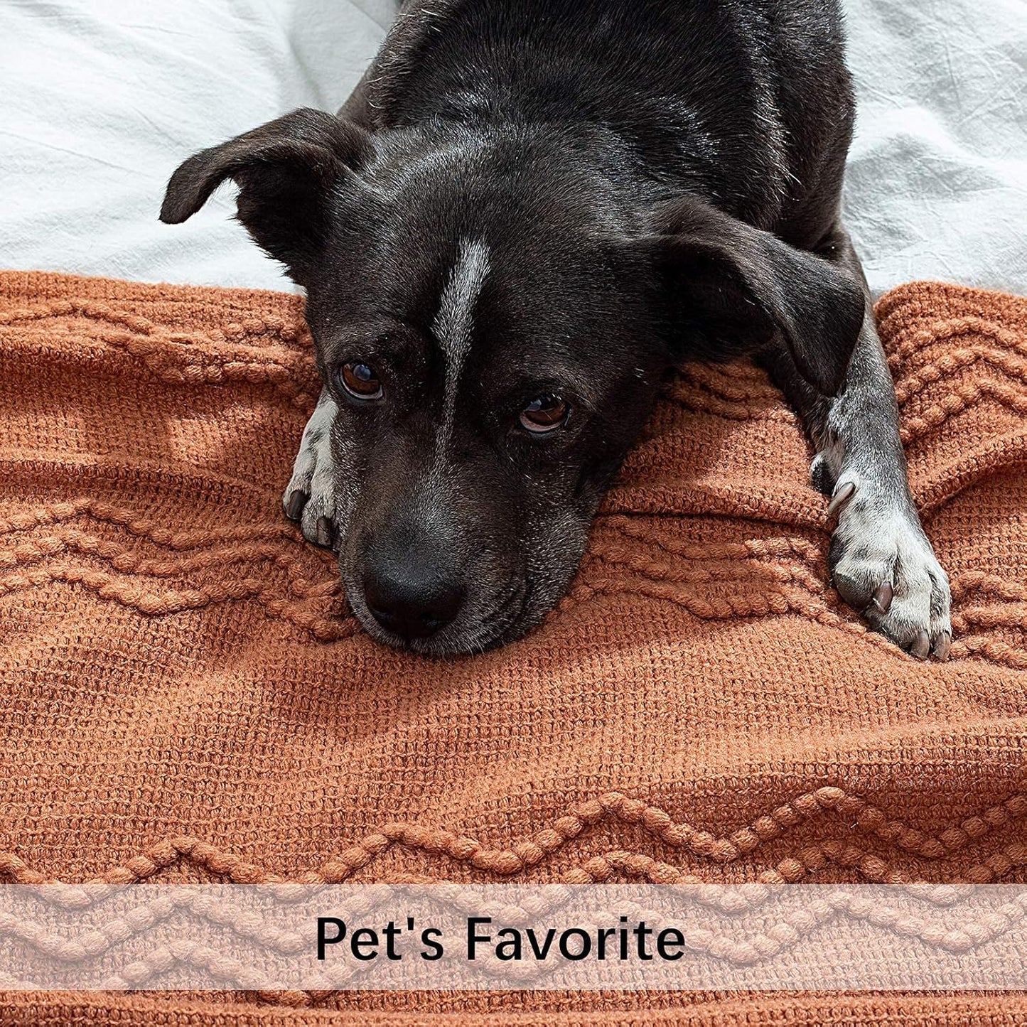 MIULEE Knitted Boho Throw Blanket for Couch Textured Knit Terracotta Rust Blanket with Tassels Cozy Woven Farmhouse Blanket for Sofa Bed Chair Wave Pattern Fall Decor 50"x60", Orange