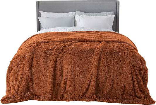 Bedsure GentleSoft Fluffy Burnt Orange Blankets Queen Size for Bed, Cozy Thick Sherpa Faux Fur Fleece Fuzzy Plush Winter Warm Soft Full Queen Blankets, Bedroom Decor Orange Gifts for Women Men, 90x90