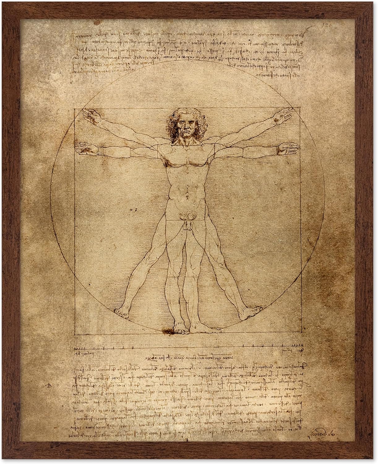 Poster Master Classic Leonardo Da Vinci Poster - Vintage Renaissance Print - Gift for Artist, Friend - Vitruvian Man, Proportion, Symmetry, Human Body - Wall Decor for Office, 8x10 Brown Framed