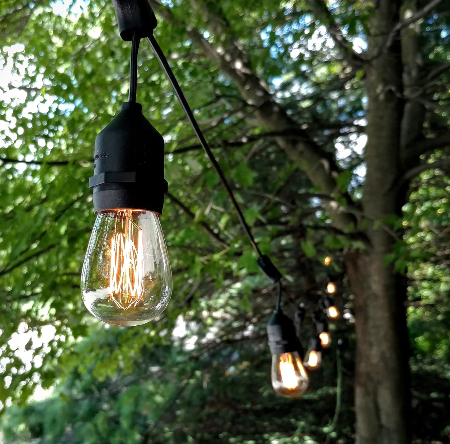Hometown Evolution, Inc. 100 Foot E26 Commercial Outdoor Edison Bulb String Lights with Suspended Sockets (100 Foot 50 Socket, S14 Lantern Edison 11 Watt Bulbs)