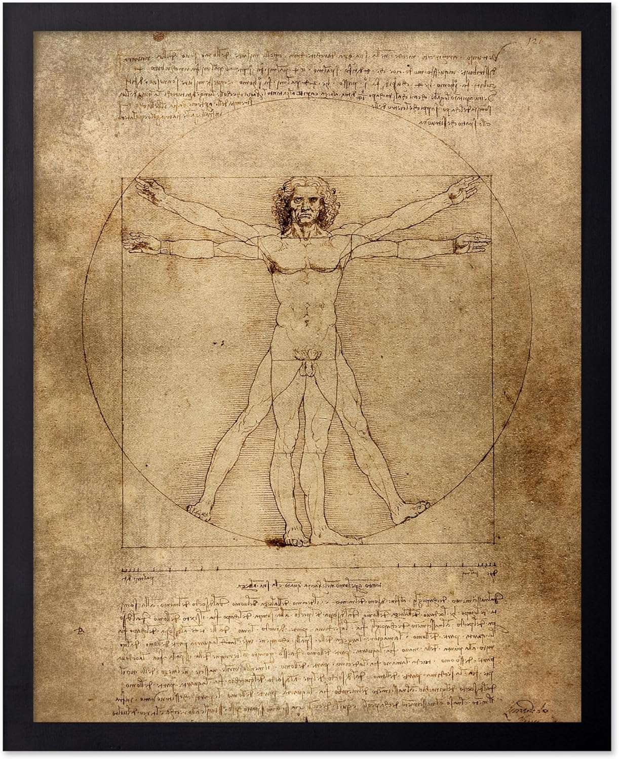 Poster Master Classic Leonardo Da Vinci Poster - Vintage Renaissance Print - Gift for Artist, Friend - Vitruvian Man, Proportion, Symmetry, Human Body - Wall Decor for Office, 16x20 Black Framed