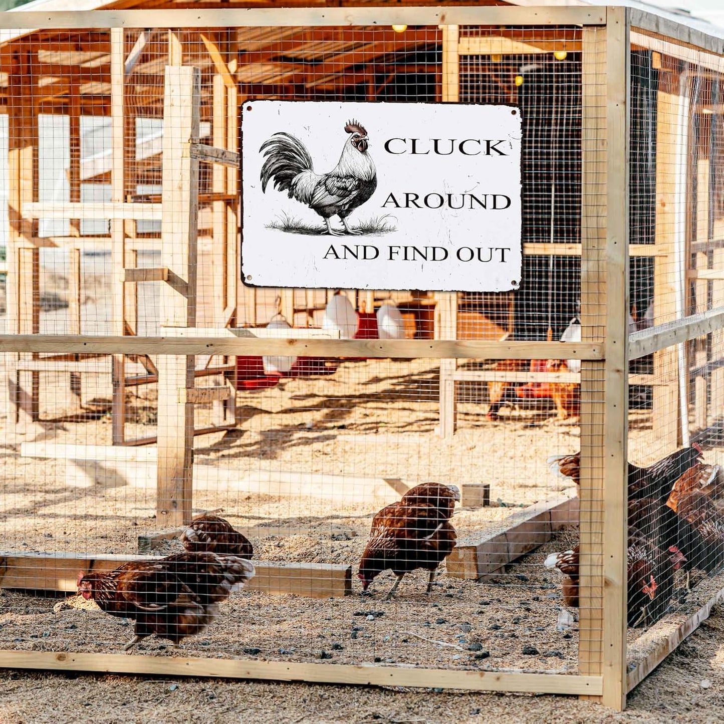Funny Chicken Coop Sign "Cluck Around & Find Out" Vintage Metal Tin Sign 8x12 Inch - for Farmhouse Kitchen Decor,Chicken Coop Accessories,Barn,Rustic Home & Garden Wall Art with Hanging Holes